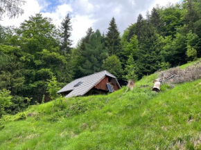 Architect`s Cottage - serenity and greenery in the highlands